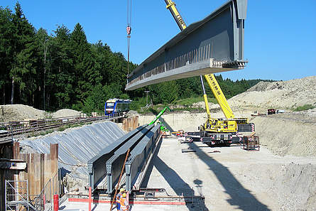 C + P Preflex® Träger
